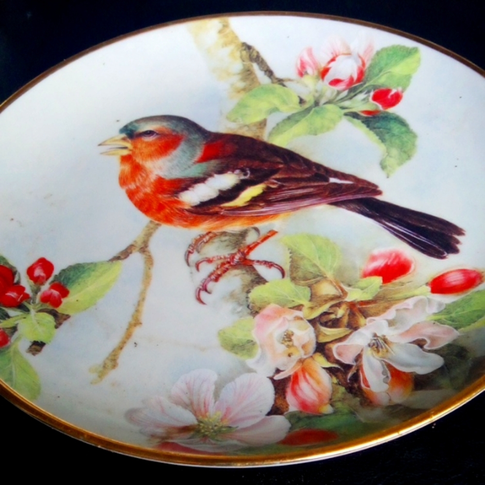 Chaffinch and apple blossoms collectors plate